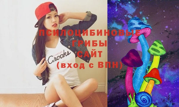 ешки Абинск