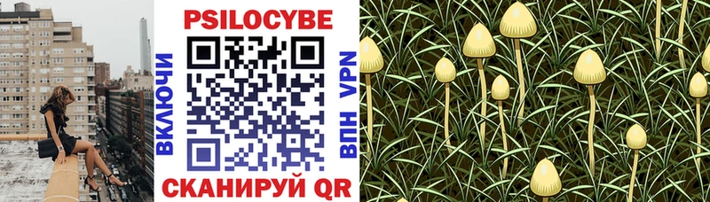 Галлюциногенные грибы Magic Shrooms  mega рабочий сайт  сайты даркнета как зайти  как найти   Котово 